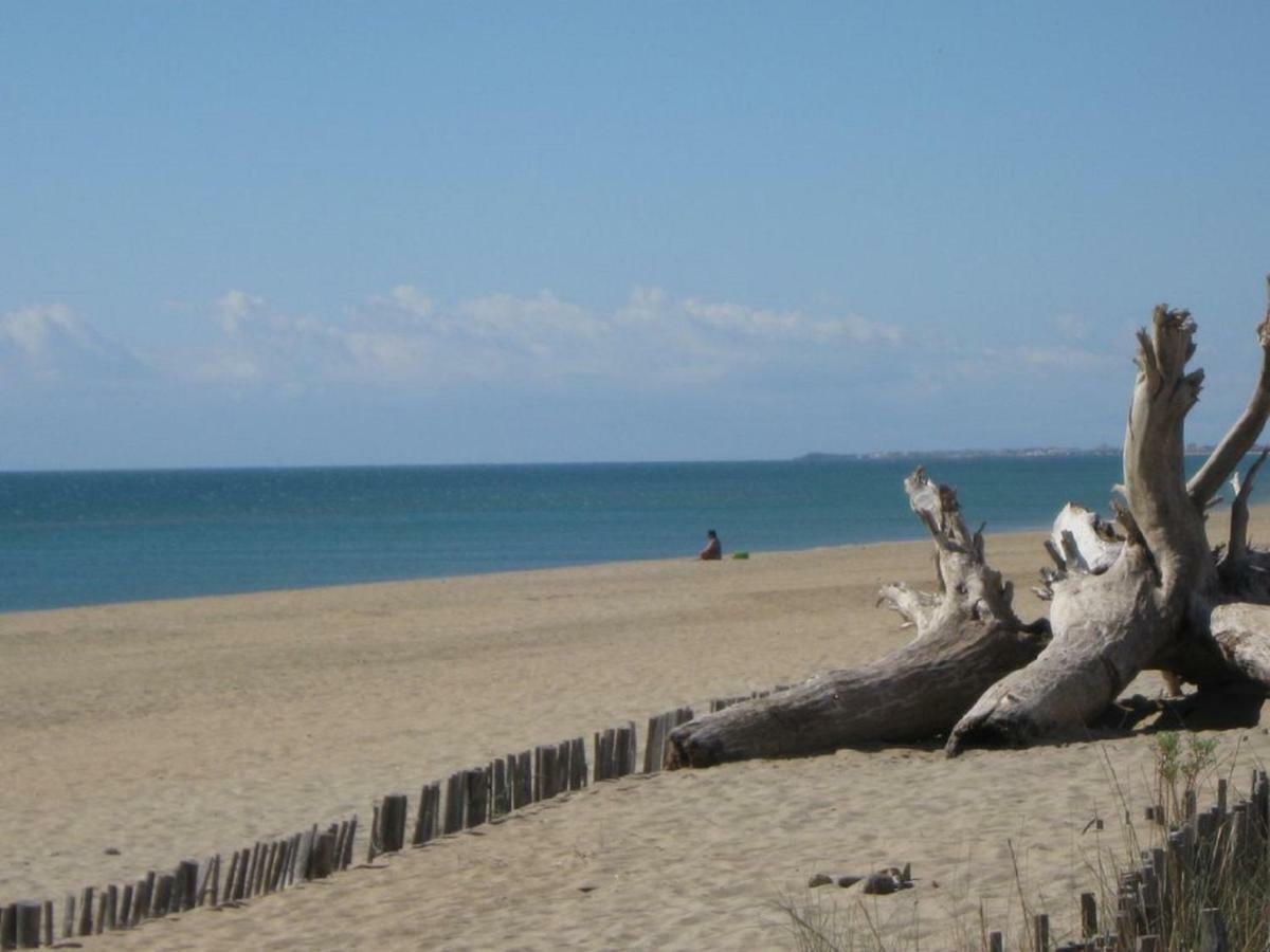 L'Hippocampe Appartement Sète Buitenkant foto